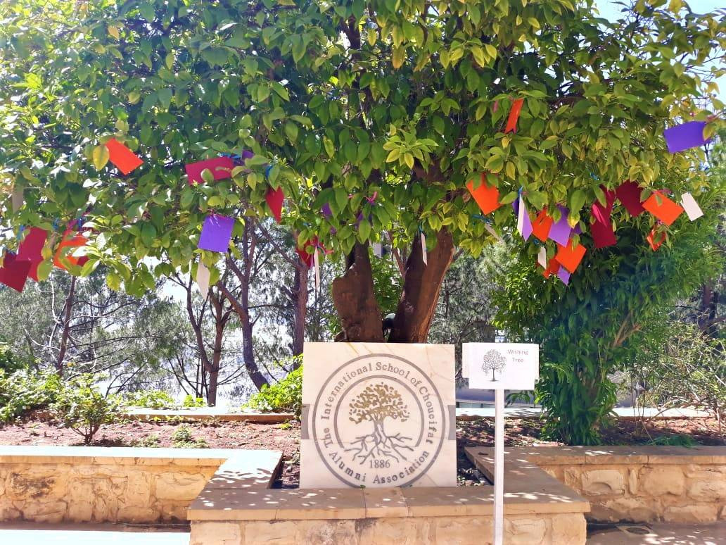 SABIS - Seniors’ Last Wishes to a New Beginning